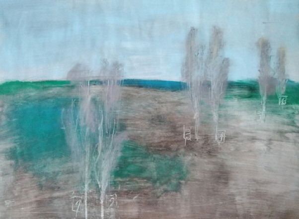 gr�nes-Grasweb 75prozent